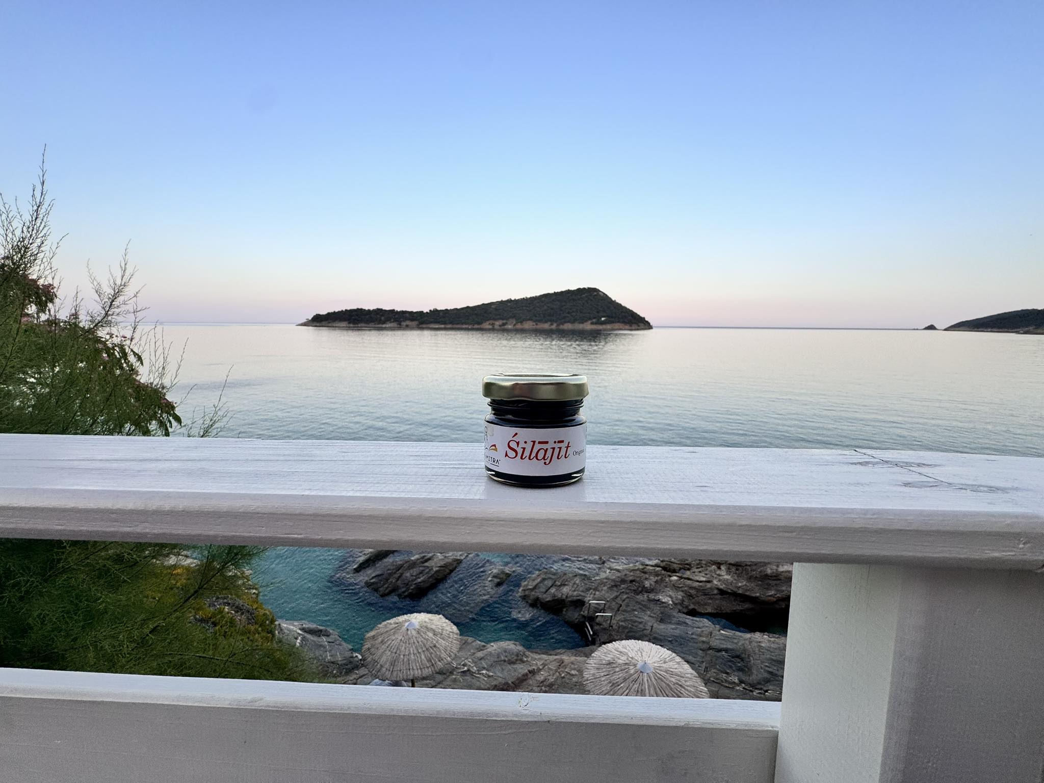Premium Wellness Formula